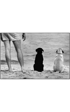 Elliott Erwitt, Amagansett, New York, 1990 Elliott Erwitt, Amagansett, New York, 1990