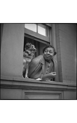 Gordon Parks, Woman and Dog in Window, Harlem, New York, 1943 Gordon Parks, Woman and Dog in Window, Harlem, New York, 1943