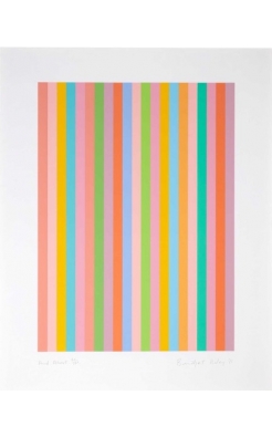 Bridget Riley, And About Bridget Riley, And About
