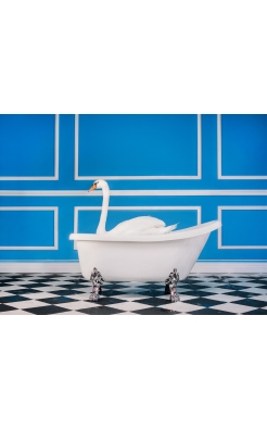 Tyler Shields, The Swan, 2020 Tyler Shields, The Swan, 2020