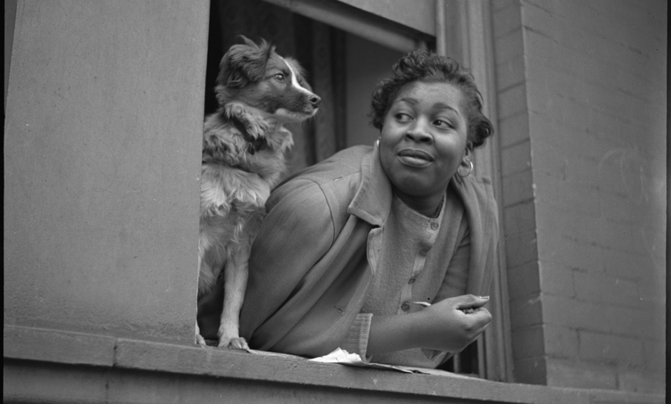 Gordon Parks, Woman and Dog in Window, Harlem, New York, 1943 Gordon Parks, Woman and Dog in Window, Harlem, New York, 1943
