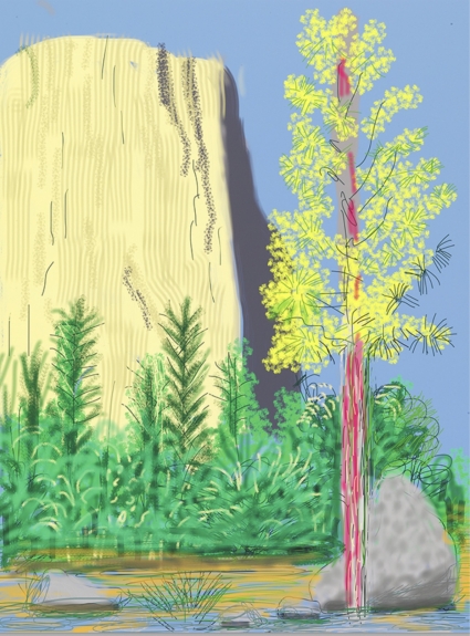 David Hockney, Yosemite, No. 22 David Hockney, Yosemite, No. 22