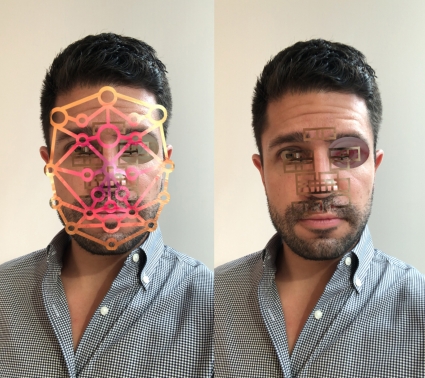 Tony Oursler, Facewreck Tony Oursler, Facewreck