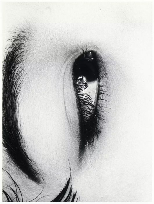 Nobuyoshi Araki, Erotos Nobuyoshi Araki, Erotos