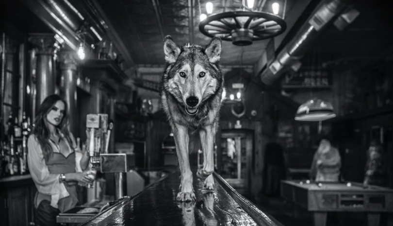 David Yarrow, Friday Night at the Pioneer, 2021